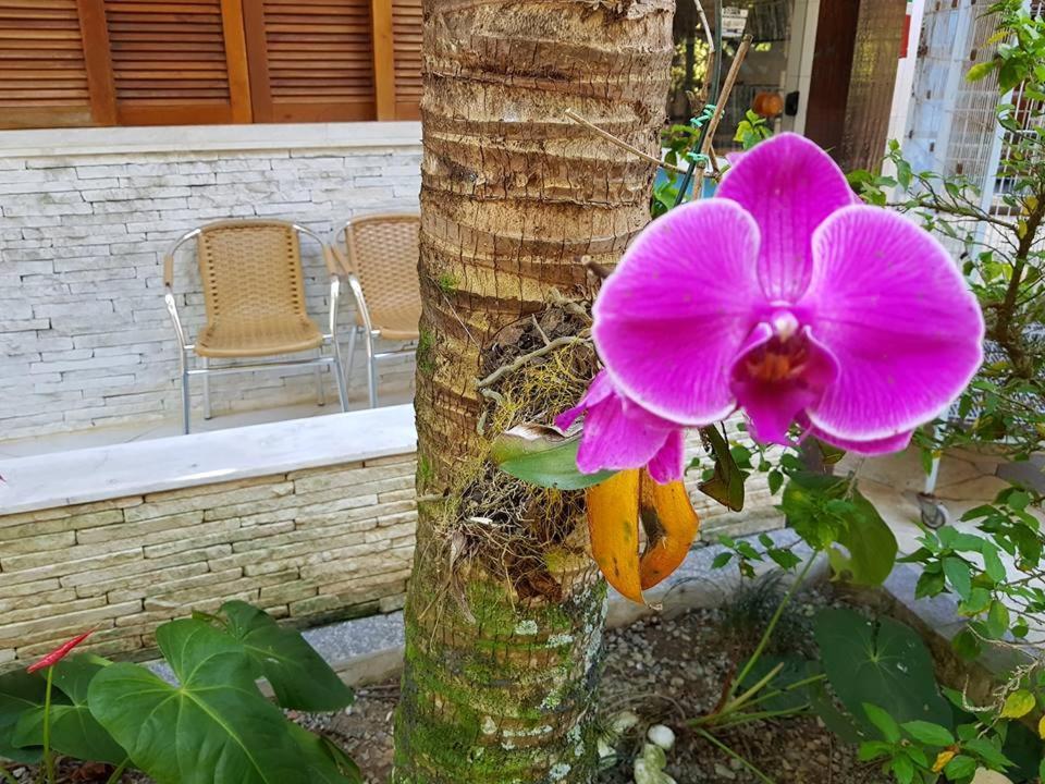 Pousada Morada Das Ilhas Boicucanga Kültér fotó